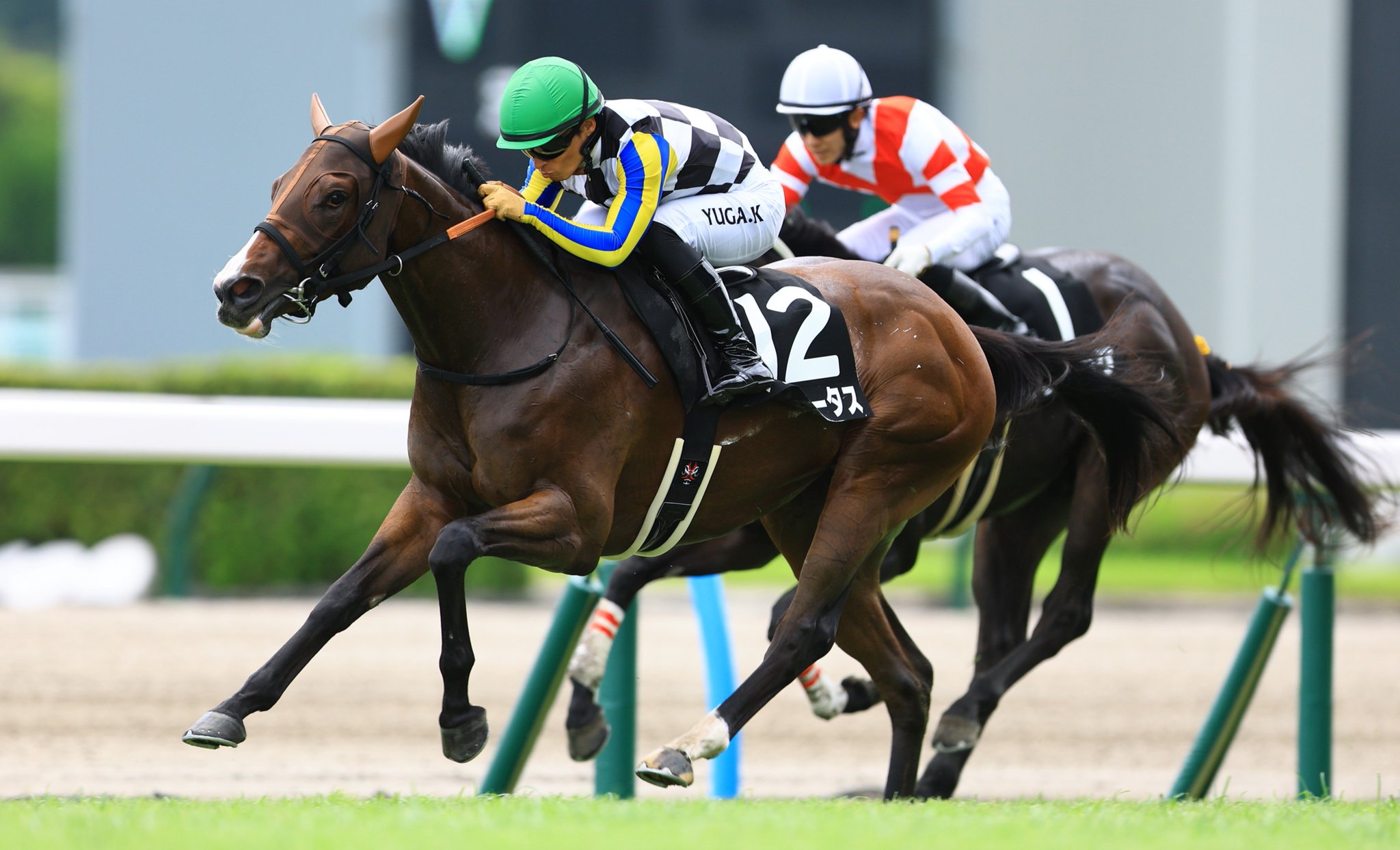 馬、9投、ねり、ロウ、馬、9投で、人生が、馬く、行く、出品。 JRA-VAN公式 on X: 