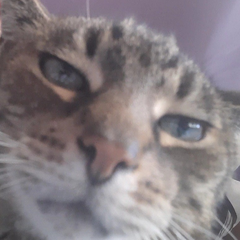 hexzou's tweet image. help ospek / retweet? thank you. 🍁

hai hai.. ada 3 anak baru alias 3 layout cakep yang butuh ospek dari teman-teman. ayo pilih jagoan kamu &amp;amp; kalau ada kesamaan dengan ba lain mohon berkabar yaa.

saya juga sedang mencari kinci bagi yang berminat saja. terima kasih.

#zonauang