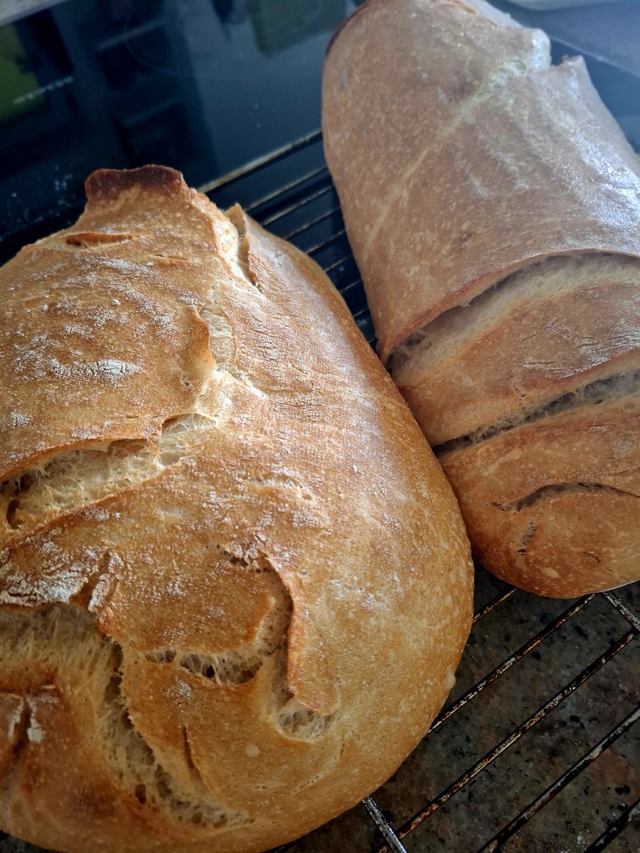 Der #Sauerteig hat den Sommerurlaub gut überstanden.  🥰

#sourdoughonly #wheatbread