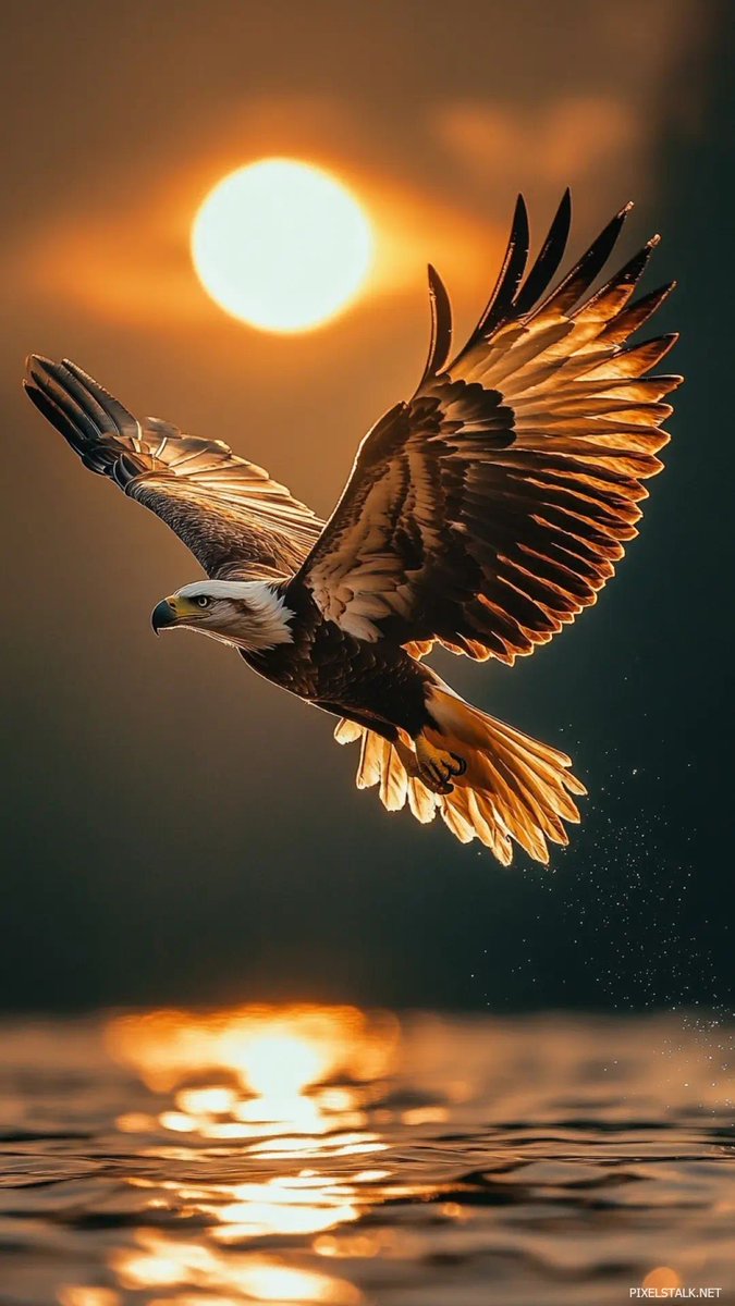 Golden light paints the sky.