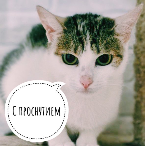 Слишком раннее утро субботы сегодня…