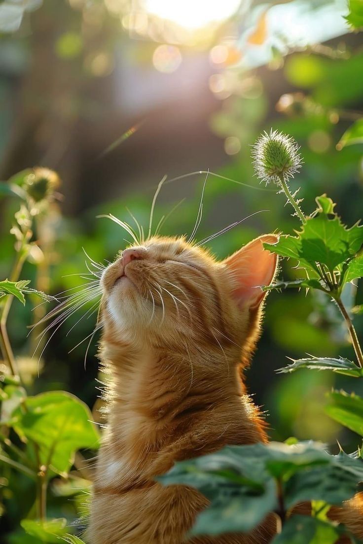 ramblingsloa's tweet image. The secret to life is finding joy in ordinary things.
Ruth Reich