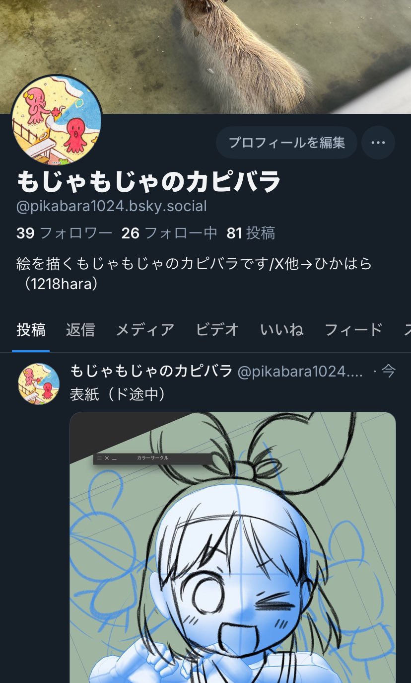 サチあれ　おまとめ　7点 𝑆𝐼𝐴𝑁@C106（土）西 “さ”43ab on X: 