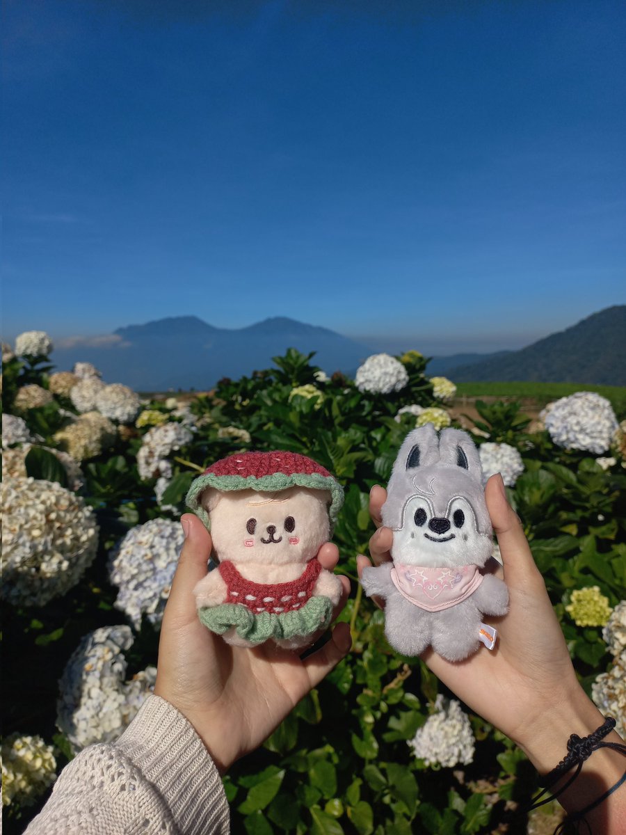 ୧⍤⃝🐰afaa tweet media