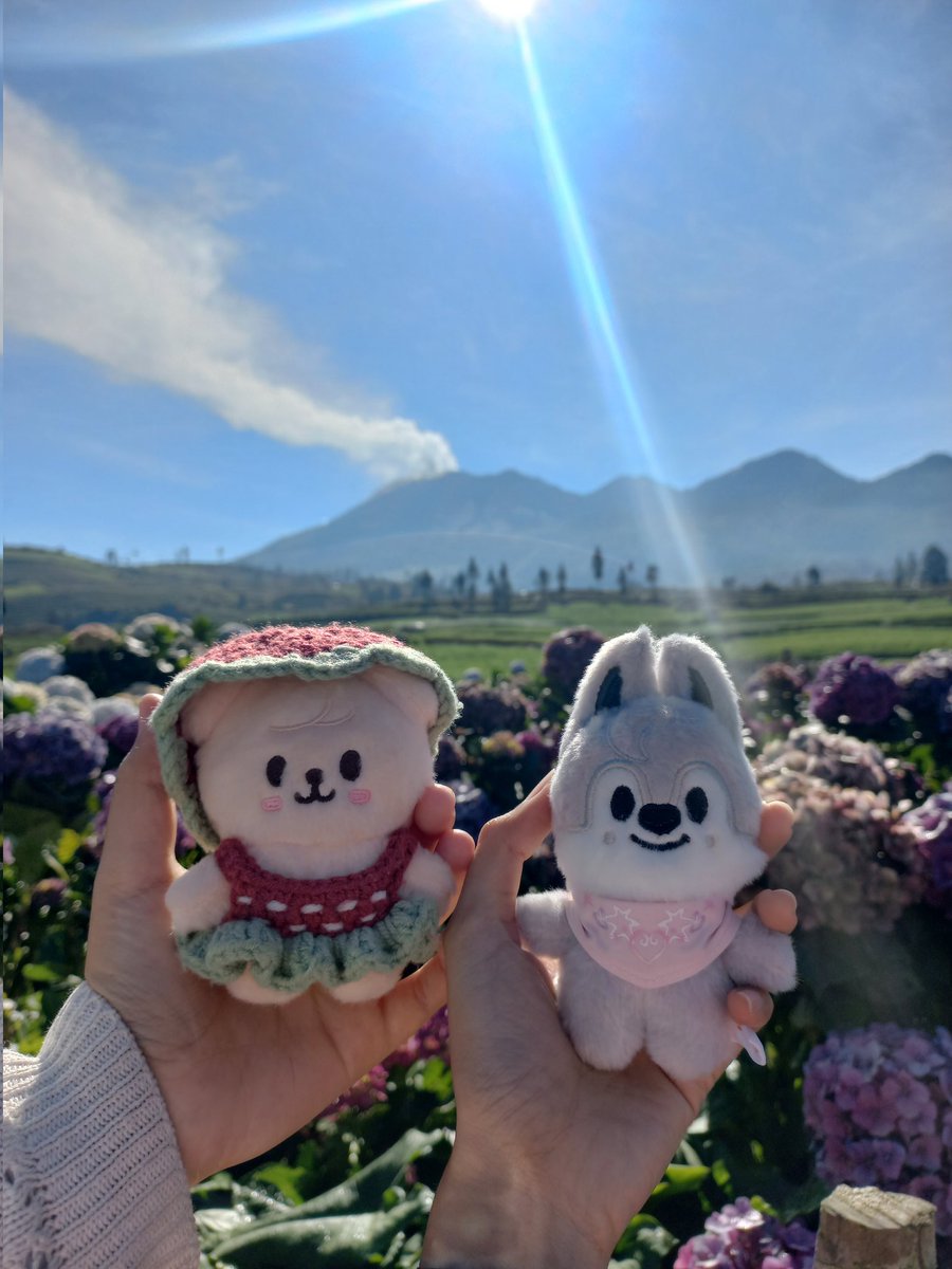 ୧⍤⃝🐰afaa tweet media