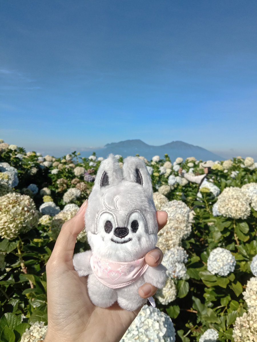 ୧⍤⃝🐰afaa tweet media