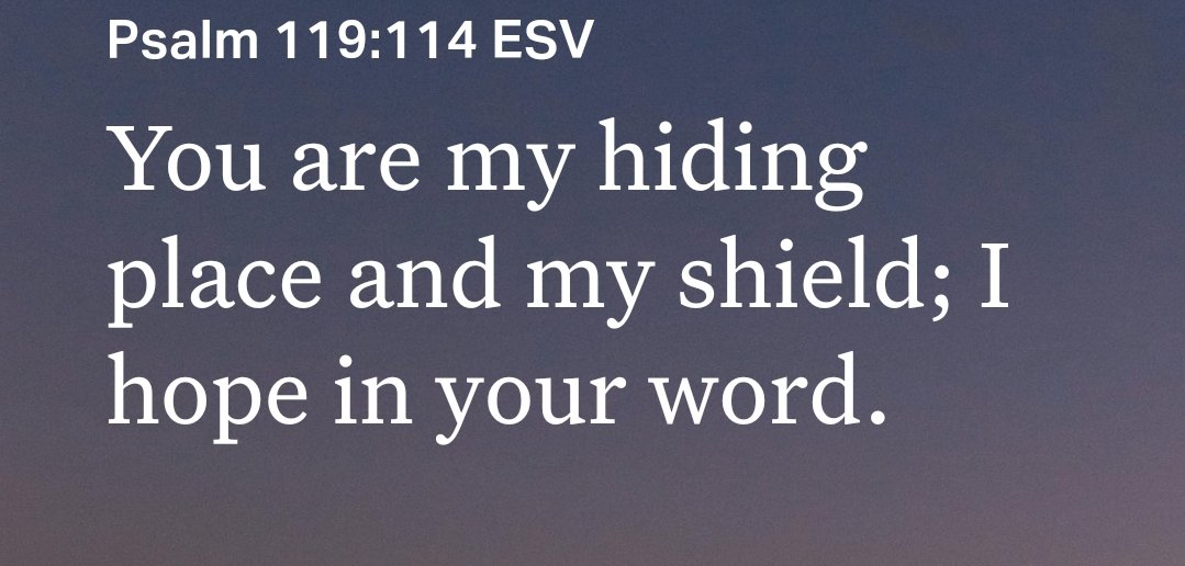 Grace (@greatgraceb) on Twitter photo 