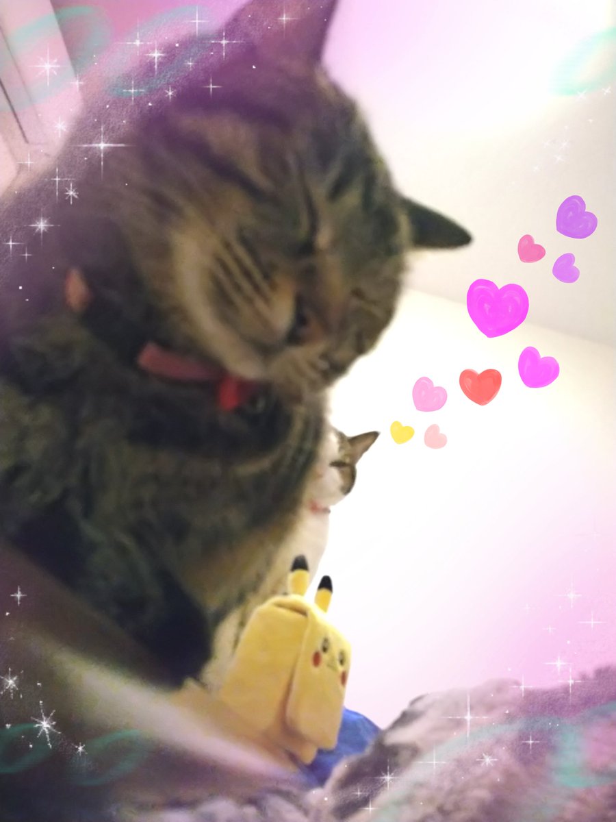 a_pikawa's tweet photo. 今回はスッと出せた分だけで撮影会💕 https://t.co/V5A9npL8Fq