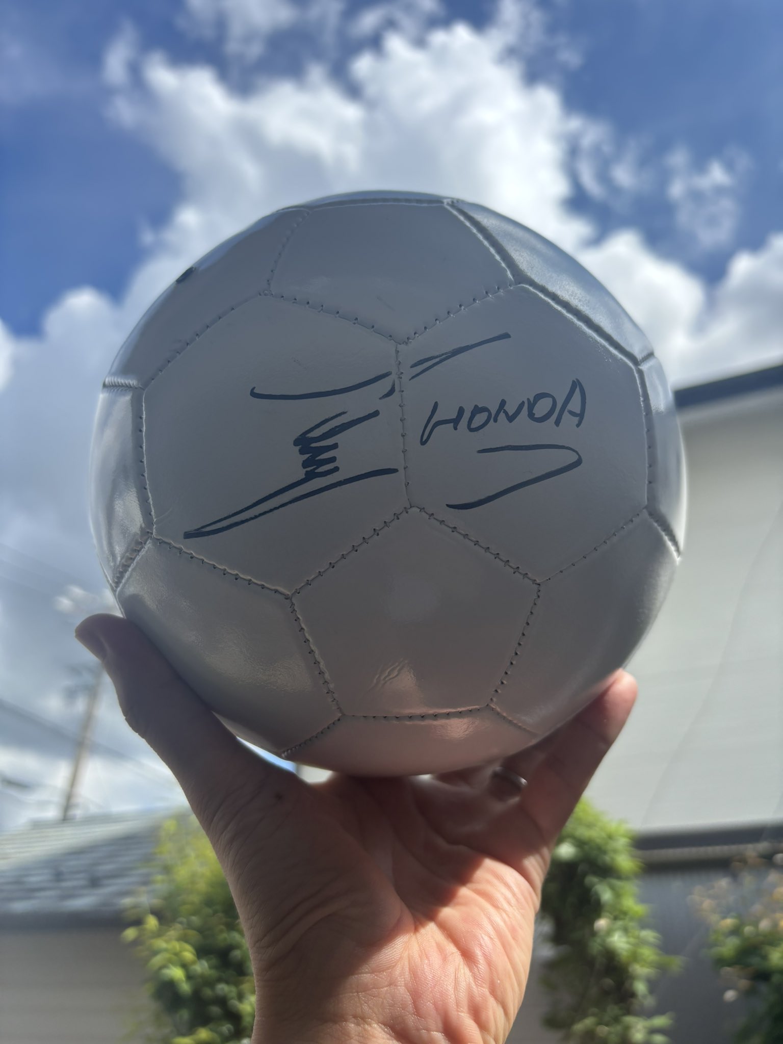 声真似シャチNORi【ケマオ】⚽️💻 on X: 