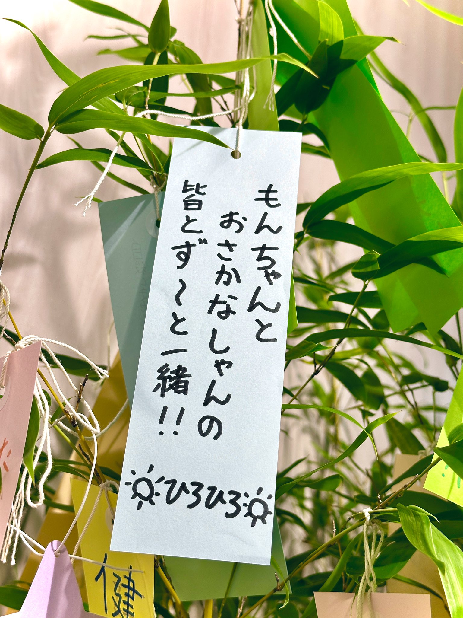 ☀️ひろひろ☀️ 🦭💭 on X: 