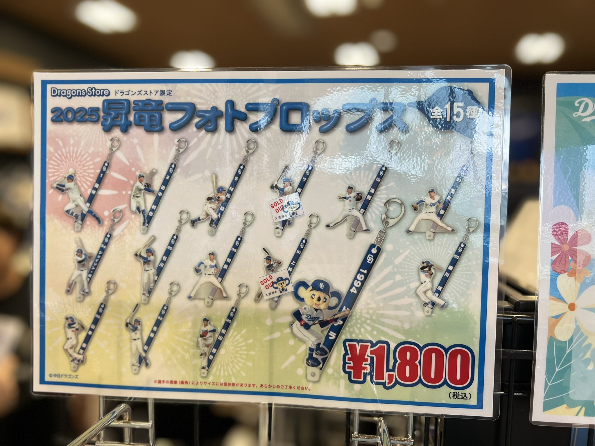 【値下】中日ドラゴンズ　ドラゴンズストアサカエ　アクリルドアプレート　昇竜くじ 値下】中日ドラゴンズ ドラゴンズストアサカエ アクリルドア