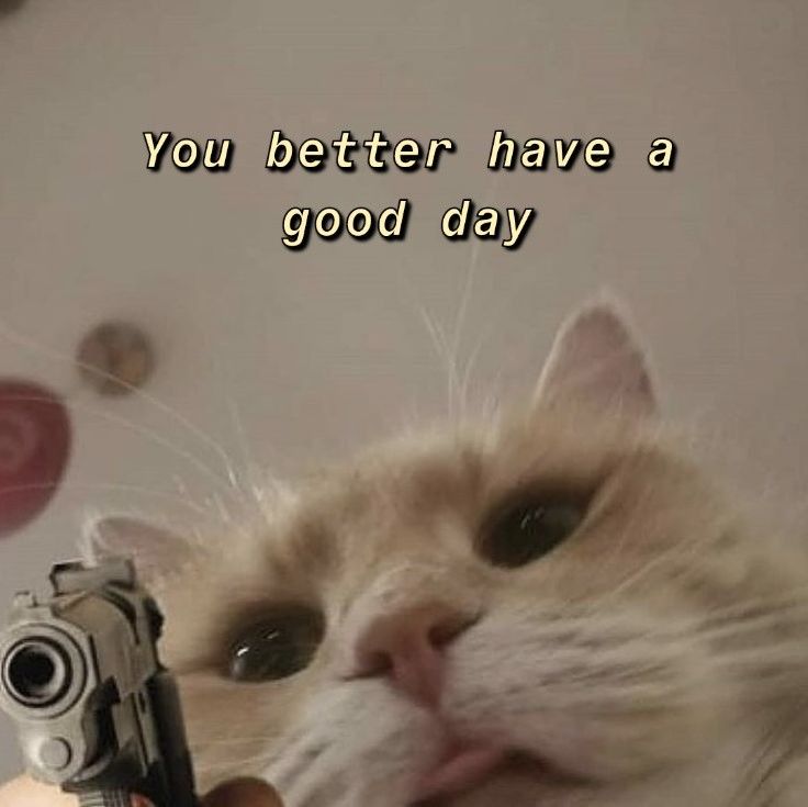 Gm gm 🙂