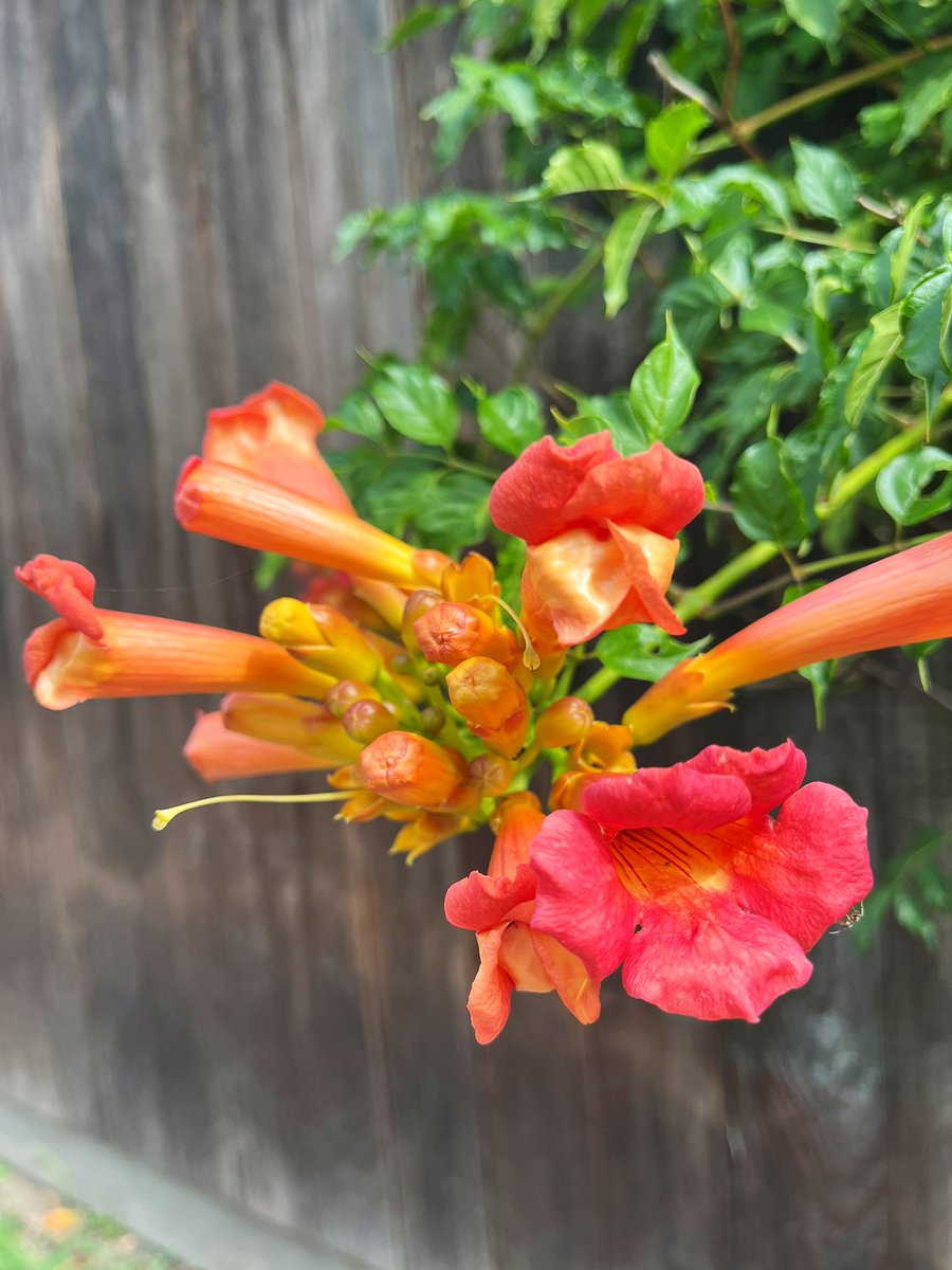 Goedemorgen beste TwiXers, een fijne dag toegewenst 👍😀