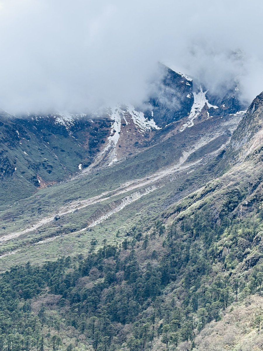 Maria Joe L tweet media