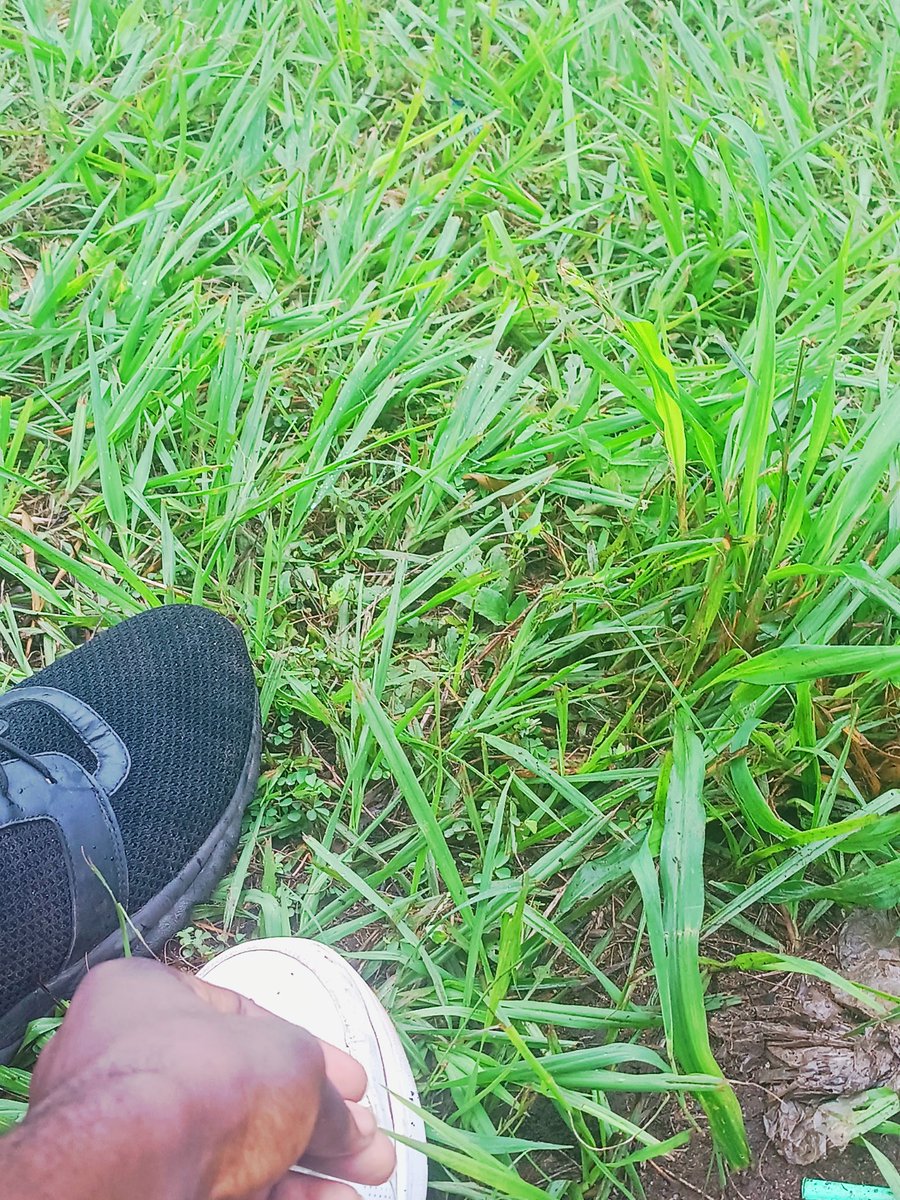 unknwndefi's tweet image. GM CTNG
welcome to the weekends
Weekends are for touching grass .
Quote with your project tags
WM