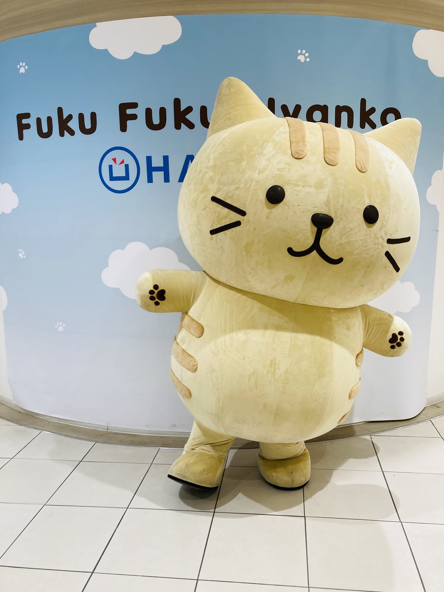 Fuku Fuku Nyanko(ふくふくにゃんこ) on X: 
