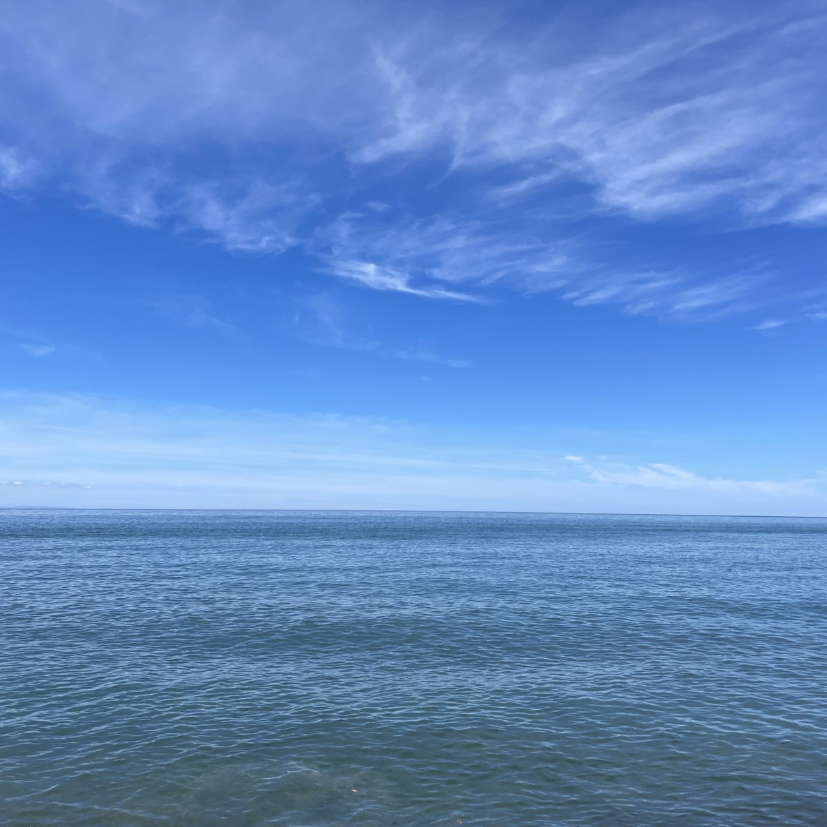 haro714's tweet image. 空も海も青い🌊💙✨
河口付近で大きな足跡発見🐾なんの足跡だろ?🤔もしかして、、、🐻💦
ちょい熱中症気味なのでヒスイパフェでクールダウン中😋💚
#いといがわサマーロックフェス
