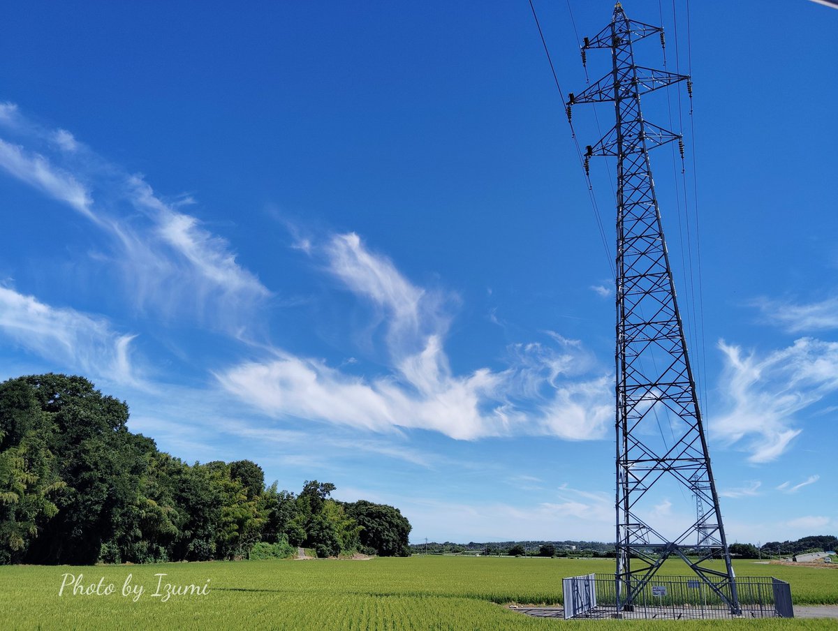 29doremifa's tweet image. (º ﾛ º*)あー( *¯ ³¯*)つー (*´罒`*)いー

 #空がある風景 
 #チーム鉄塔沼
 #土曜日の鉄塔