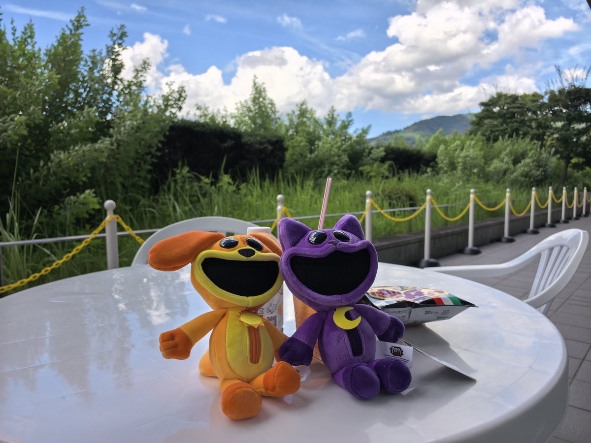 C2822080411's tweet image. mini kimnando in Bitsummit
with  catdog