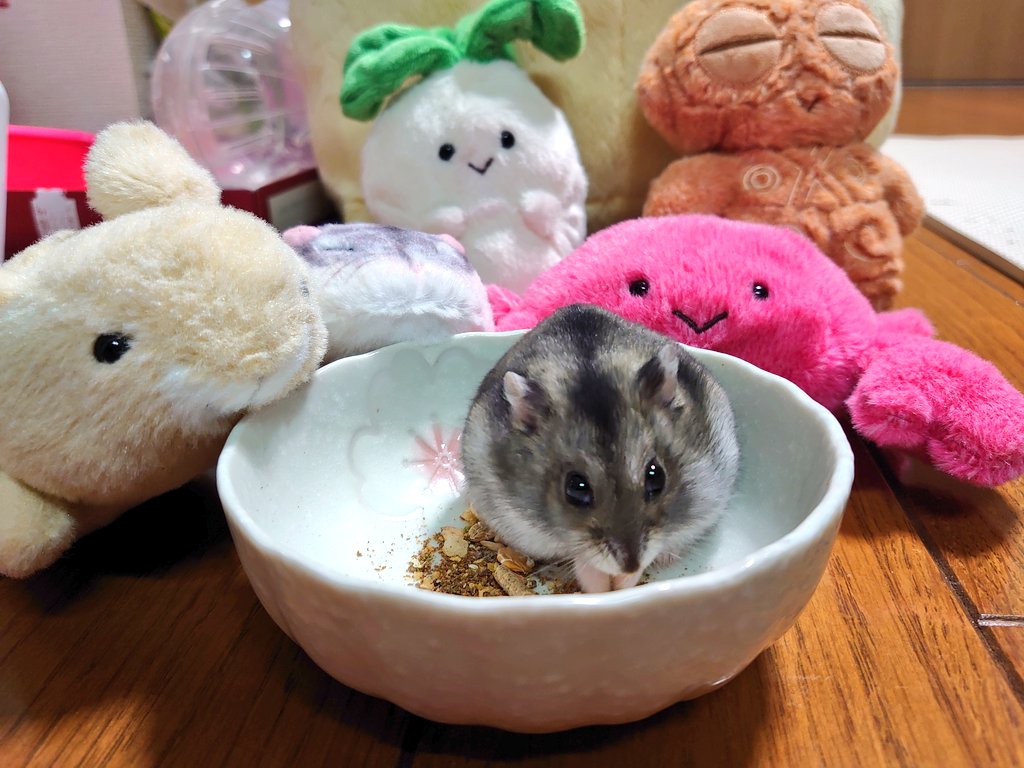 つむ。ページ☆ 富士金梅ダブルニーペインターパンツ | ボトムズ,ワークパンツ
