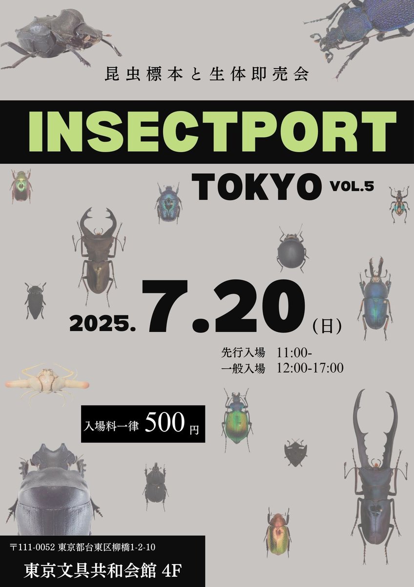 昆虫即売会インセクトポート (@insectport) / Posts / X
