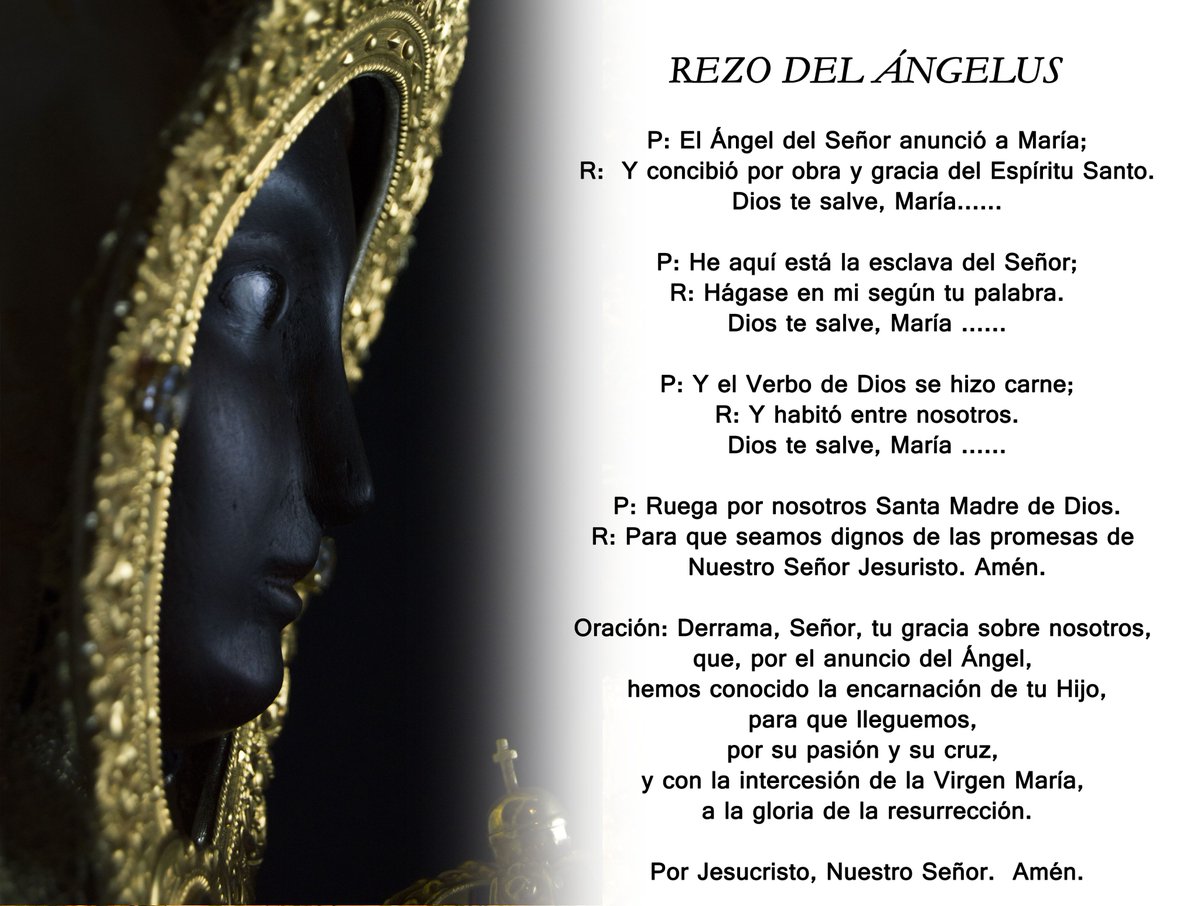 HdadGuadalupe's tweet image. 🕛 A las 12h. te animamos a participar en el rezo del #Ángelus.
#LaHoradeMaría #GuadalupeSevilla