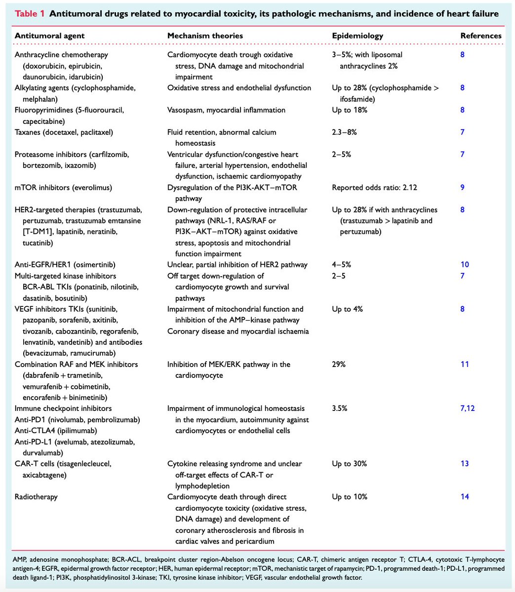 Diego Segura-Rodríguez (@seguracardio) on Twitter photo 🫀 Cancer treatments save lives—but can damage the heart.
🚨New consensus from <a href="/escardio/">European Society of Cardiology</a>: How to prevent therapy-related heart failure in cancer patients & survivors📚
Cure cancer. Protect the heart.
👉 #CardioOncology #CancerSurvivorship #PositionPaper 🫀 Cancer treatments save lives—but can damage the heart.
🚨New consensus from <a href="/escardio/">European Society of Cardiology</a>: How to prevent therapy-related heart failure in cancer patients & survivors📚
Cure cancer. Protect the heart.
👉 #CardioOncology #CancerSurvivorship #PositionPaper