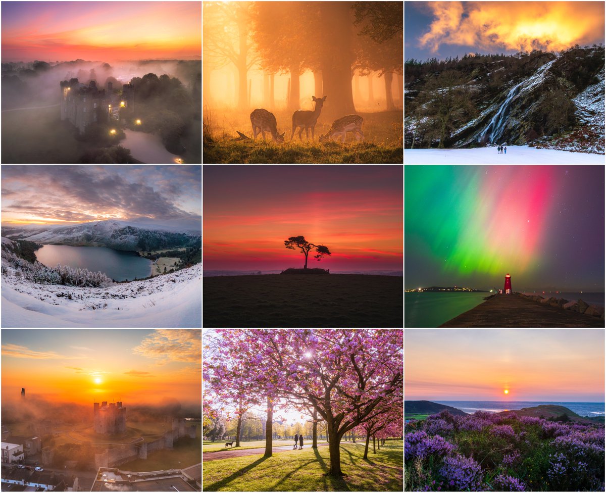 sryanbruenphoto's tweet image. To all my new followers, which I've received a good bit overnight, here's a selection of some of the most beautiful moments I consider myself very lucky to have either witnessed or captured in my time photographing. Nearly all of these have been since May 2024 alone.