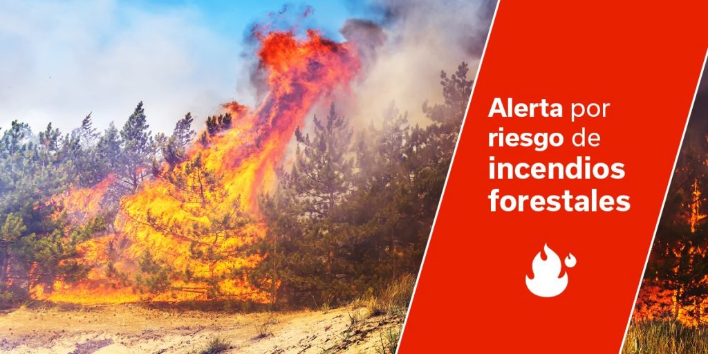 📢Actualización INFOCA: situación de #AlertaRiesgoIF en islas occidentales y #GranCanaria

🗓️ 19/07
🕚 11:00 horas 

Más información y consejos ⬇️
www3.gobiernodecanarias.org/noticias/actua…