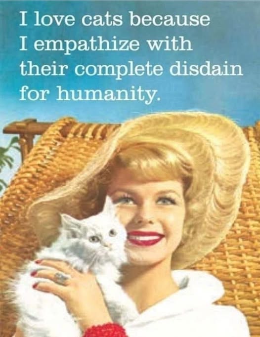 dusterdog1's tweet image. GOOD MORNING AND HAPPY CATURDAY!!!
I am alive and sort of well today.
Sort of good news, I got a message from my doctor.
Seems that one of the technicians noticed something that might have bearing on all these migraines.
Back to the hospital on Monday with hope.