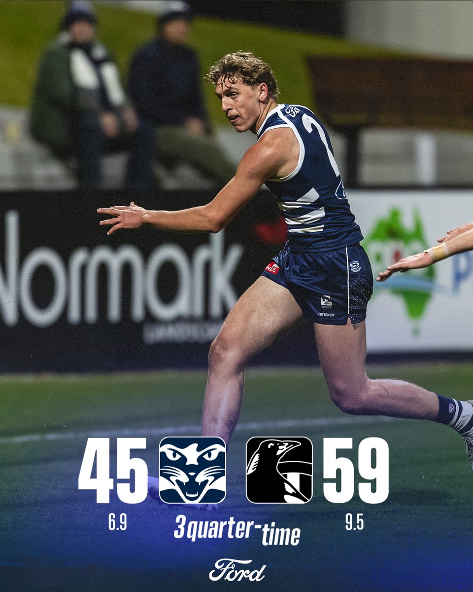 Big final term incoming 💪 

#WeAreGeelong