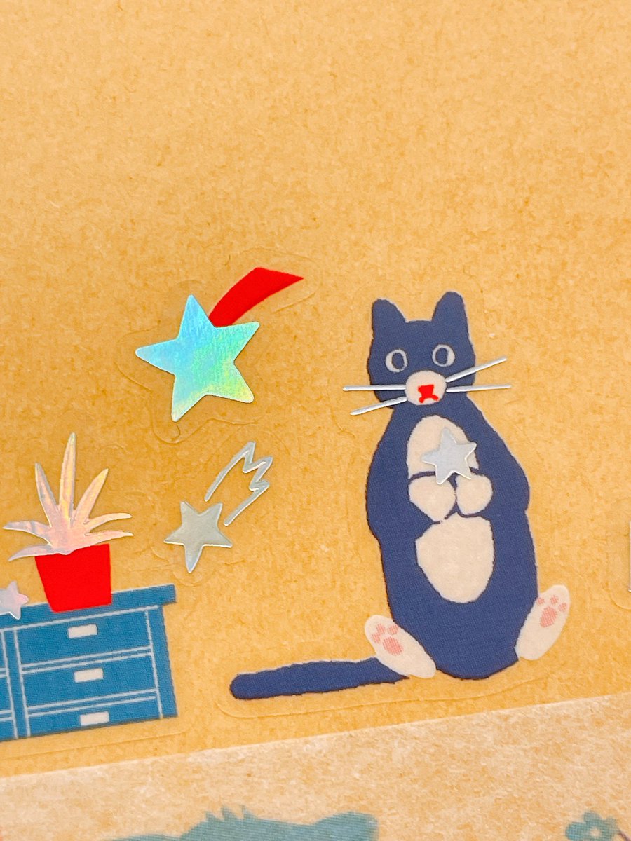 즐거운 나의방 홀로그램 키스컷 🐈