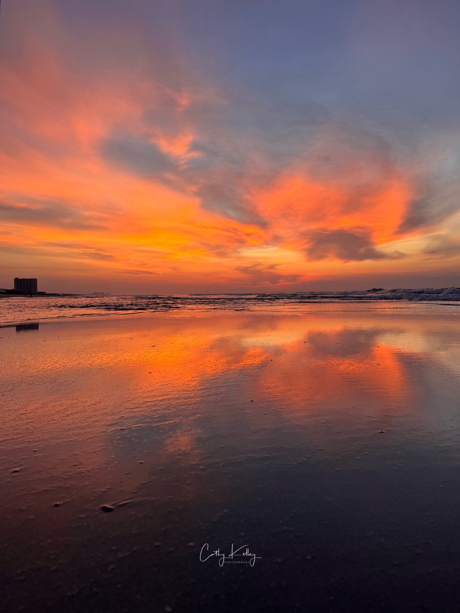 catsunrisechick's tweet image. Good morning π π
ποΈ @EdPiotrowski @jamiearnoldWMBF @AndrewWMBF @liamswx @SCweather_wx