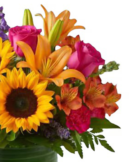 Your weekend dose of sunshine has arrived!😎🌸🌻

Stop by and say Hi. 👋 Open 8-6PM. 🌞

#makeemjellybouquet #stevesflowers #roses #sunnybeauty #sunflowers #lilies #summerflowers #stevesflowers #familyflorist #shoplocal