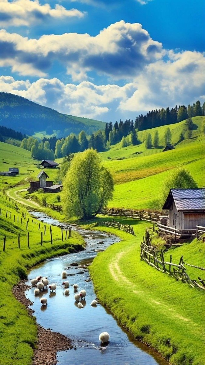 swissmountain08's tweet image. 
