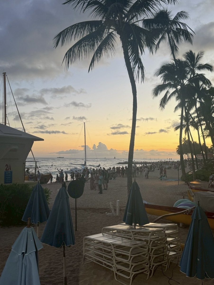 goHawaiiJP's tweet image. Aloha!
今日のワイキキをお届けします😉🌴
皆さまはワイキキの朝、昼、夕方、夜…どの時間帯がお好きですか?🌺どの時間帯も違った魅力がありますね😌