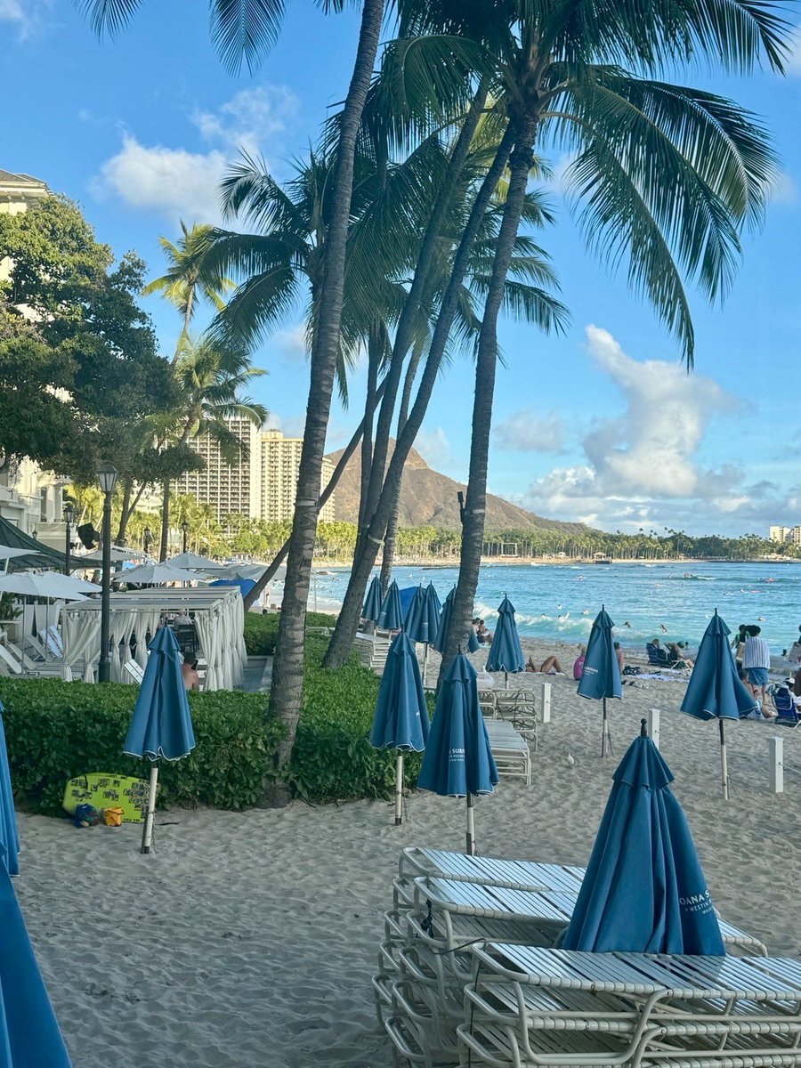goHawaiiJP's tweet image. Aloha!
今日のワイキキをお届けします😉🌴
皆さまはワイキキの朝、昼、夕方、夜…どの時間帯がお好きですか?🌺どの時間帯も違った魅力がありますね😌
