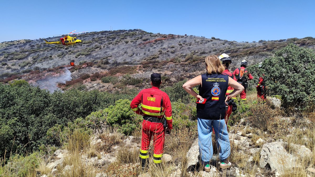 Pilar Bernabé /❤️ tweet media