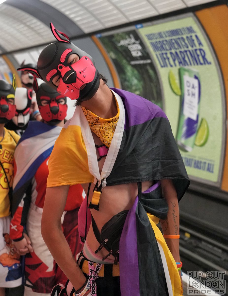 Lots of puppies in the underground *WOOF* 

Time to cause chaos *BARK* 

Loved <a href="/PupOutLondon/">Pup Out</a> at <a href="/PrideInLondon/">Pride in London</a>