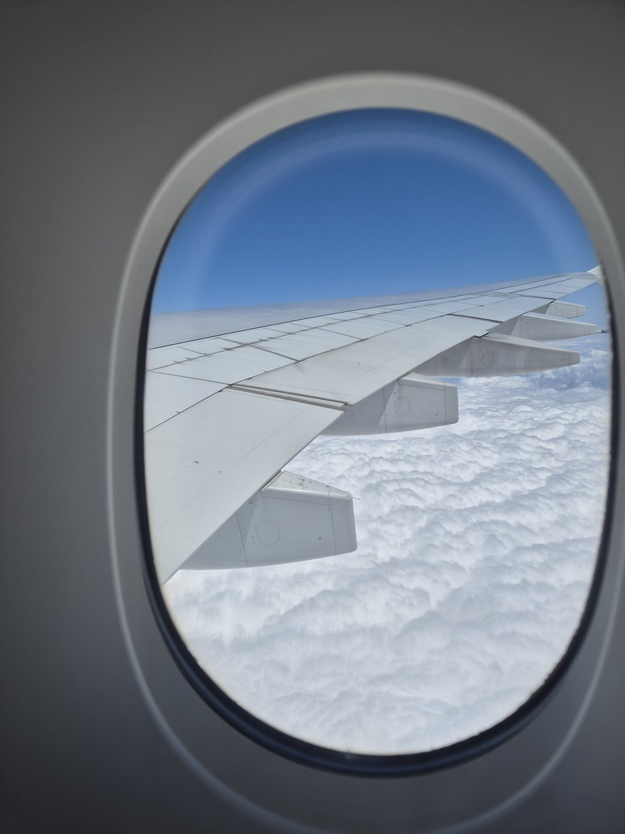 생존신고
여행왓갓서여