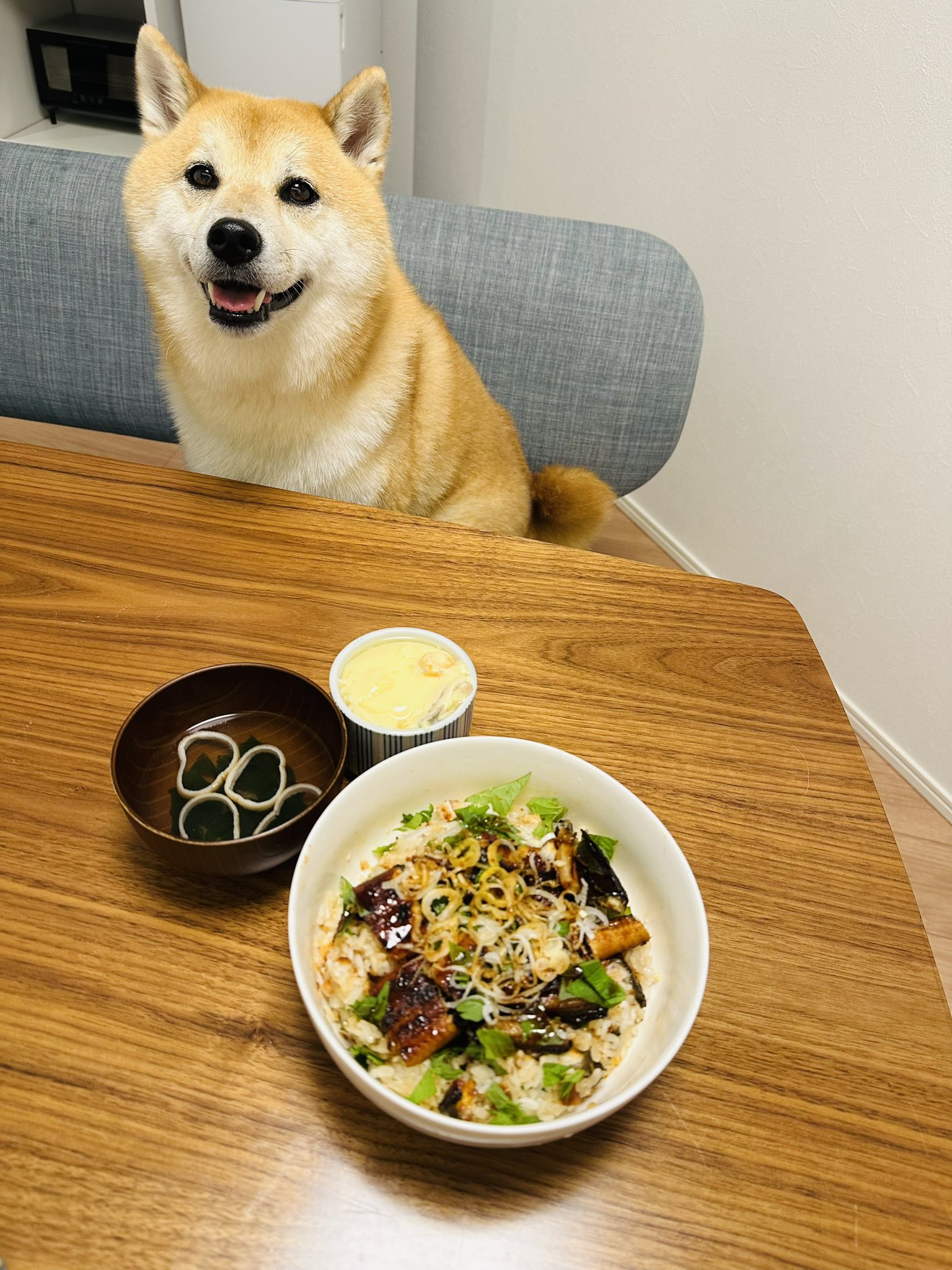 MACPHEE - うなぎいぬ　2点おまとめ キキしゃん安定のカメラ目線😂👍 ②のキキしゃん好き🥰 はちくん