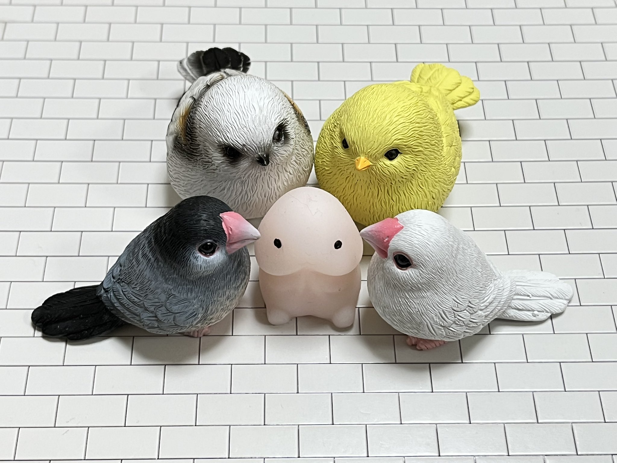ひよこ♡ kou on X: 