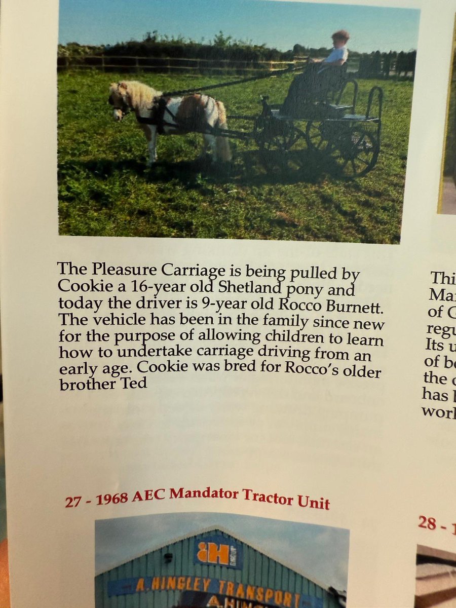We’re back with another vehicle at this year’s cart marking ceremony hosted by the Lord Mayor. Cookie is the Shetland and Rocco is the driver. It’s always a proud day for Quattro!