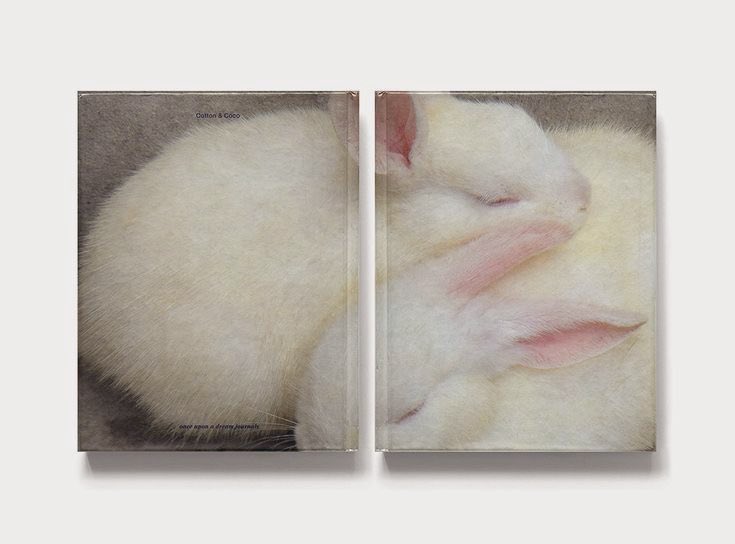 the ‘cotton &amp; coco’ journal