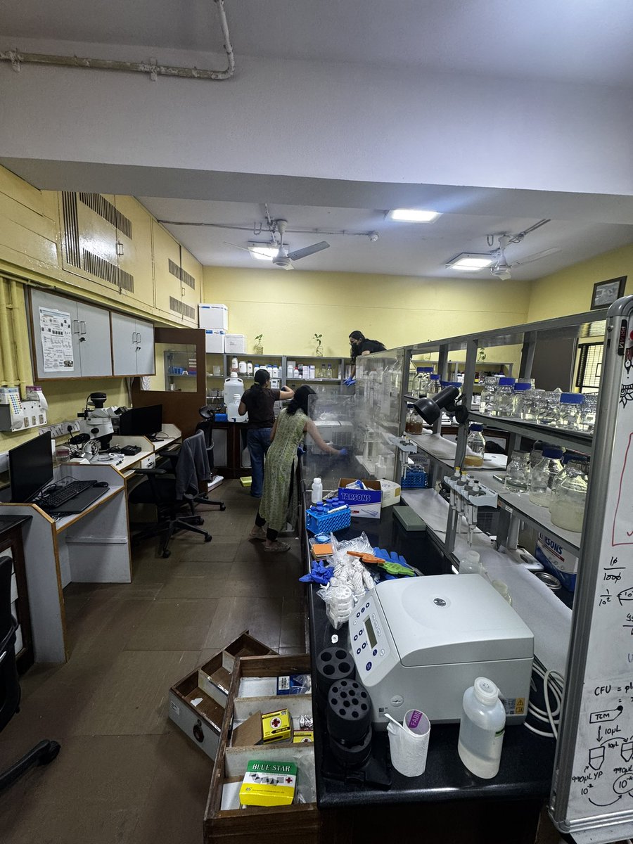 sriram_varahan's tweet image. Today was the annual lab cleaning day. So happy to see that the kids are taking such good care of the lab π
We also did a quick lab lunch to fuel up for the rest of the clean up efforts π