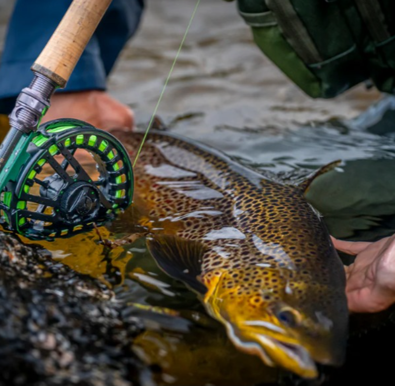lover_fish44922's tweet photo. Fish tremble when they hear my name. 
#fish #FishingGirls #fishing #usa #thursdaymorning #Survivor 
#AprilFoolsDay #CheAvl #USA #fish #fishingtrip https://t.co/aXCsOd7etJ