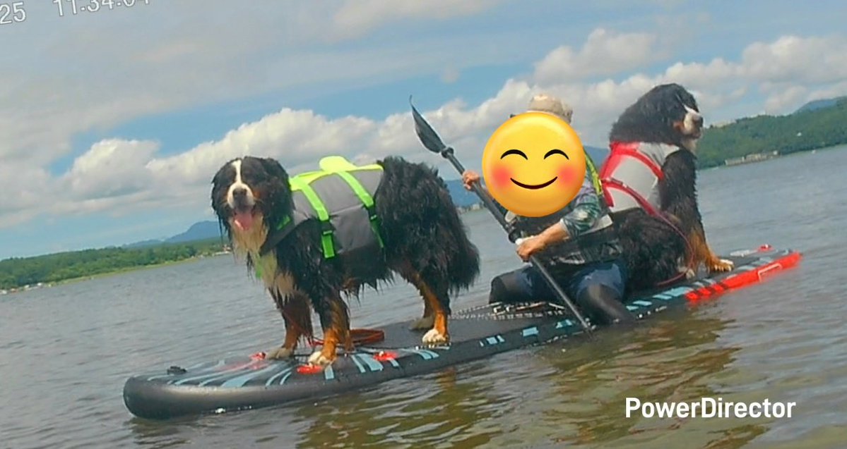 coco_bmd's tweet image. 今日は初めてのSUP
なのに初めてとは思えないココとエマのこの勇姿