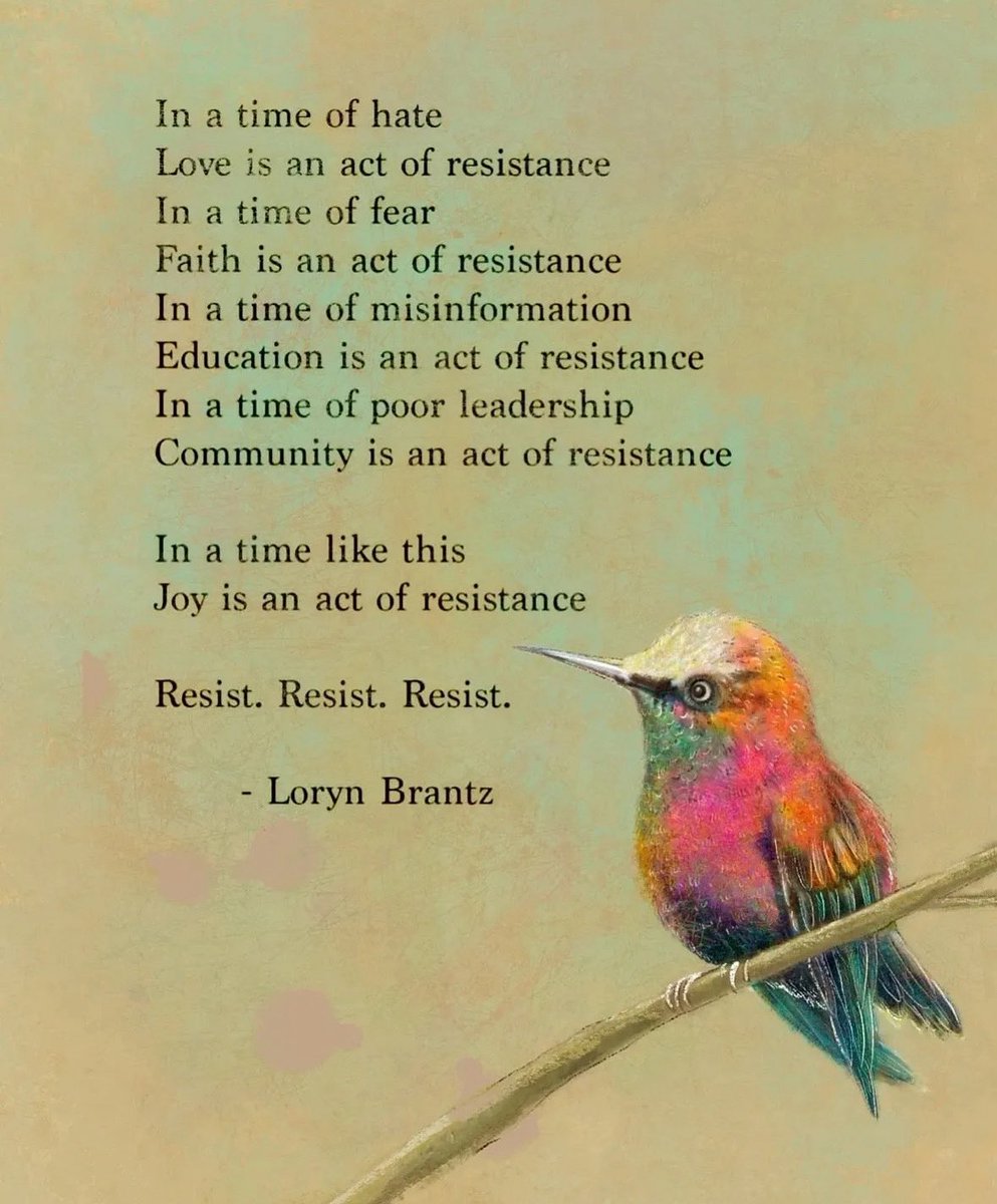 DrJMLundy's tweet image. Rebellious hope 🕊️💚