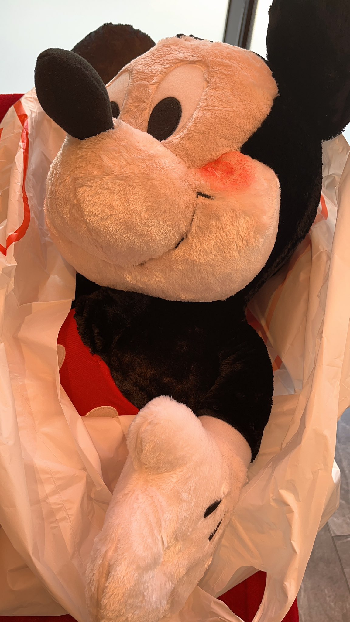 にゃんにゃんのしっぽ？❗️ うさぎのしっぽv～ハッチ推しの、ふくにゃんず♥️～ on X