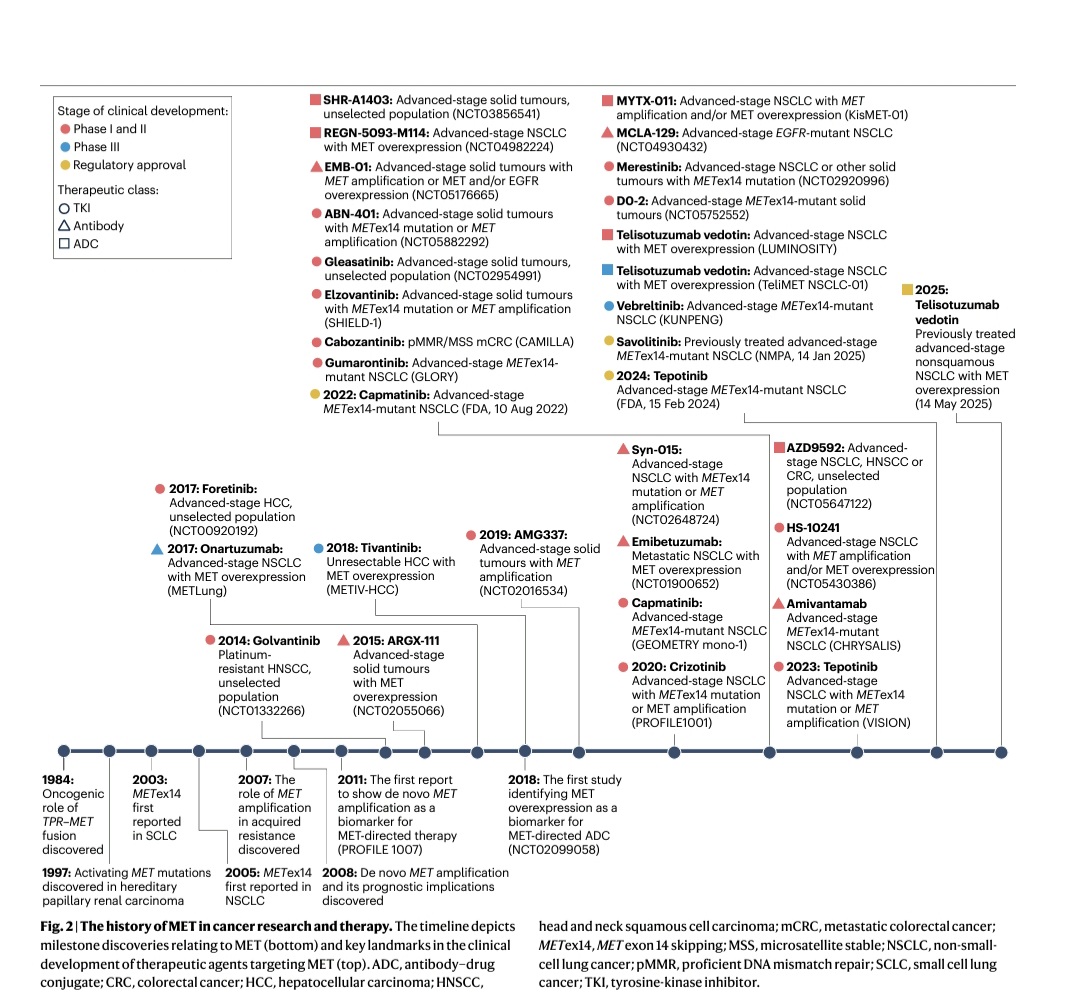 SuyogCancer's tweet image. 🚨 MET in Cancer: Mutation, Amplification & Resistance
🧬 MET is a key oncogenic driver—especially in NSCLC, HCC, gastric & RCC.
But resistance is smart. It strikes via:
1️⃣ On-target MET mutations (e.g., D1228N, Y1230C/S/H)
2️⃣ Downstream rewiring (KRAS, BRAF, PI3K, PTEN, MYC)
3️⃣…